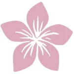 tacuba 10 centro histórico